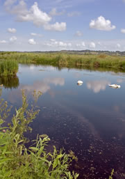 greylake nature reserve 1