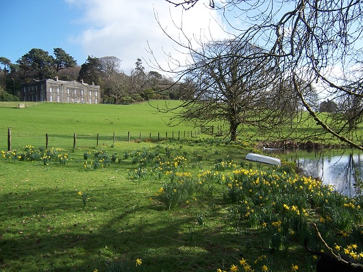 hemerdon house 1