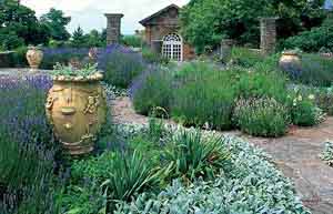 hestercombe gardens 1
