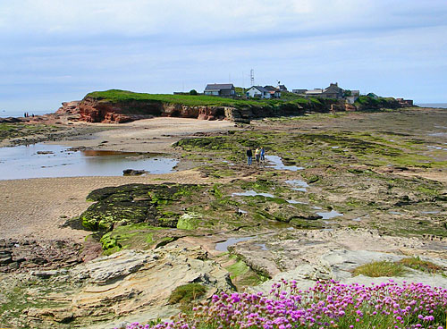 hilbre island 1