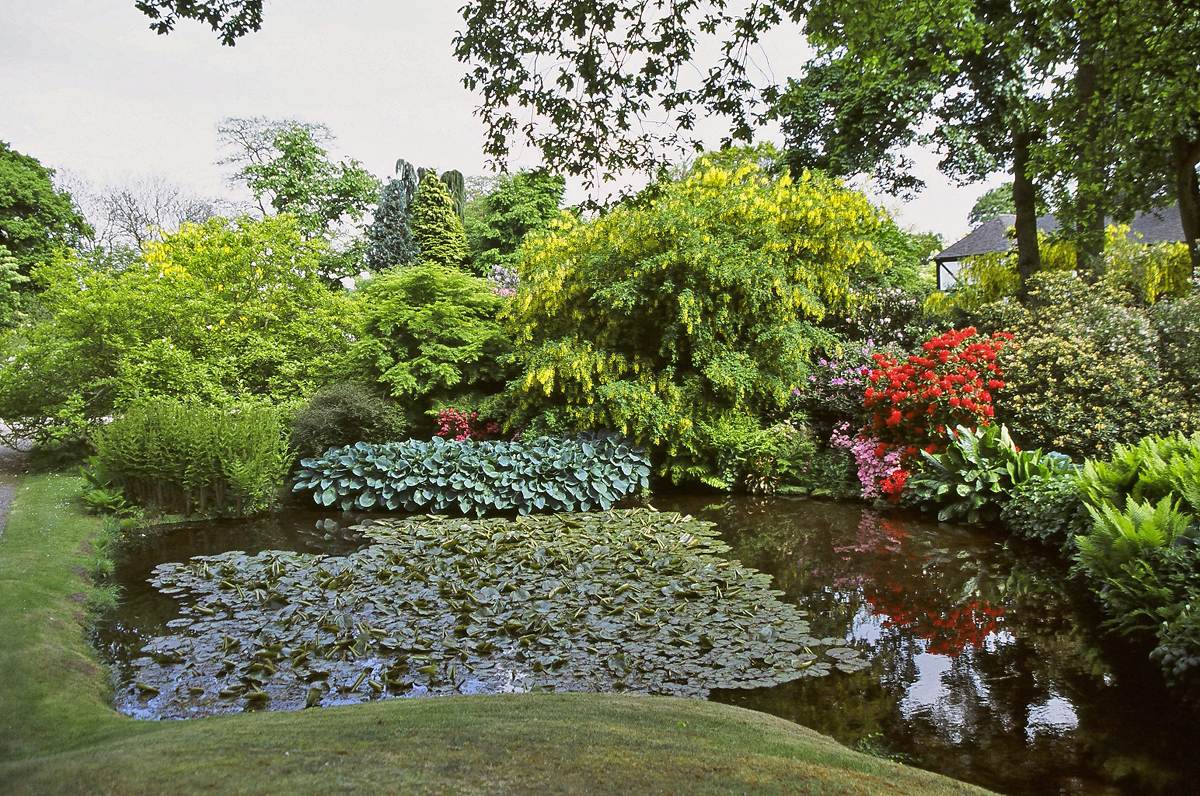 hodnet hall gardens 1