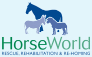 horseworld 1