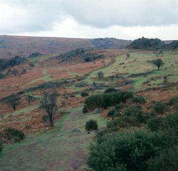 hound tor deserted medieval village 1