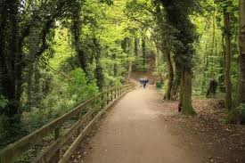 humber bridge country park 1
