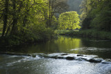 ilam park 1