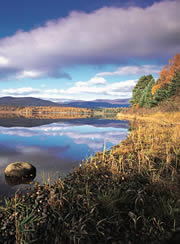 insh marshes nature reserve 1