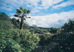inverewe garden 1