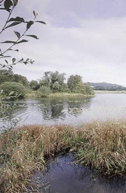 kendee marshes nature reserve 1
