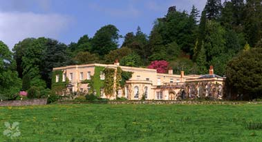 killerton 1
