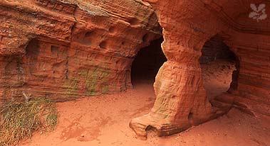 kinver edge and the rock houses 1