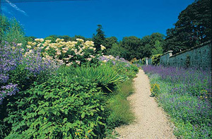 leith hall garden and estate 1