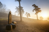 leith hill 1