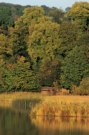 lochwinnoch nature reserve 1