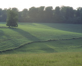 lodge park and sherborne estate 1