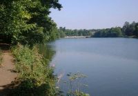 lymm dam 1