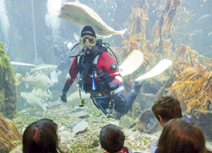 macduff marine aquarium 1
