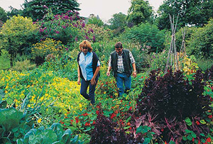 malleny garden 1