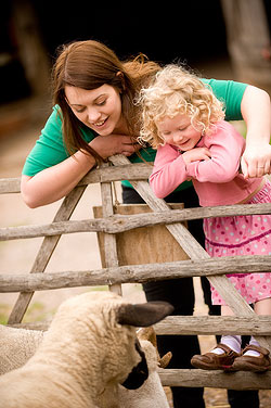 manor farm country park 1
