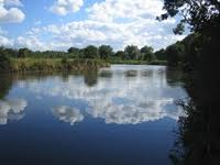 marshalls arm nature reserve 1