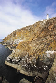 mull of galloway nature reserve 1