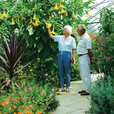 myerscough college gardens and plant world 1