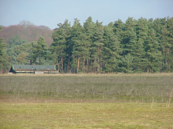 nwt weeting heath 1