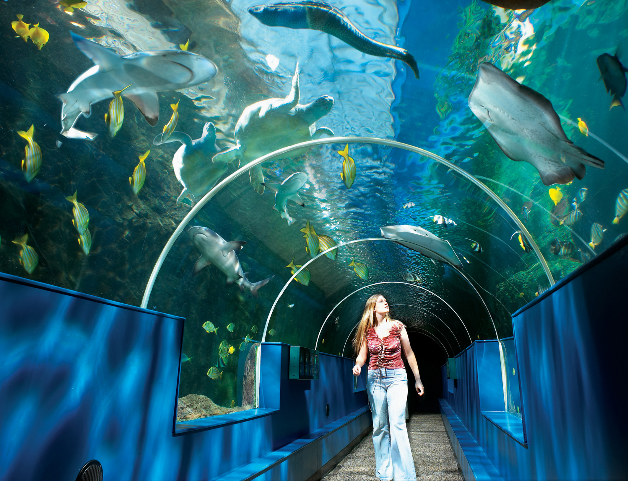 oceanarium 1