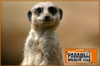 paradise park wildlife sanctuary 1