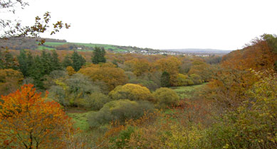 parke estate 1