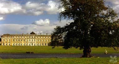 petworth house and park 1