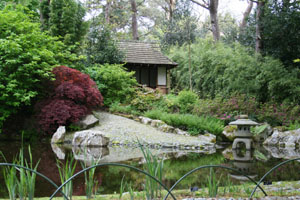 pinetum park and pine lodge gardens 1