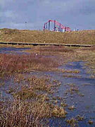 queens jubilee nature trail 1