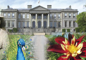 ragley hall 1