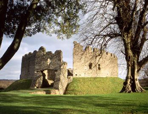 restormel castle 1