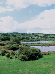 sandwell valley nature reserve 1