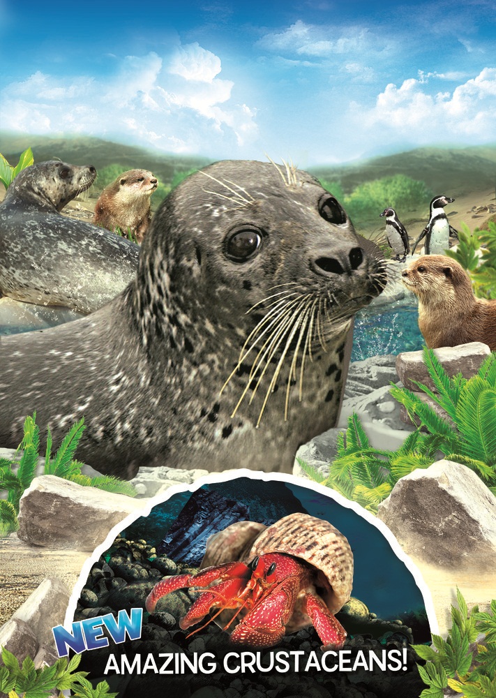 scarborough sea life sanctuary 1