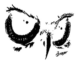 screech owl sanctuary 1