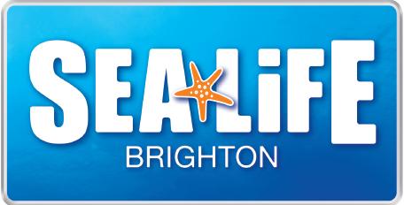 sea life  brighton 1