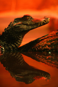 seaquarium 1