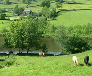 sett valley trail 1