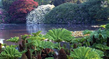 sheffield park garden 1