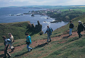 st abbs head national nature reserve 1