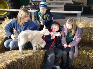 stockley farm 1