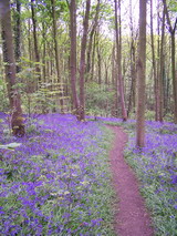 stockley trail 1