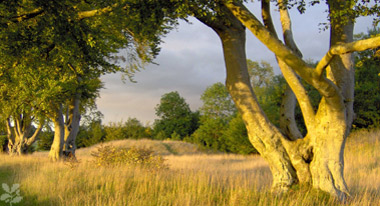 stonehenge historic landscape 1