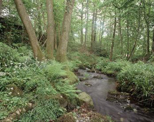 stott park bobbin mill 1