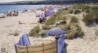 studland beach and nature reserve 1