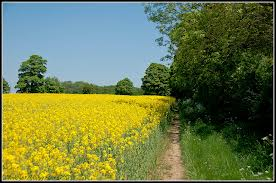 sundon hills country park 1