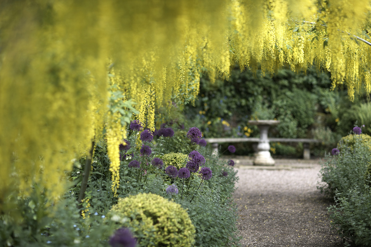 the dorothy clive garden 1