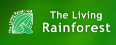 the living rainforest 1